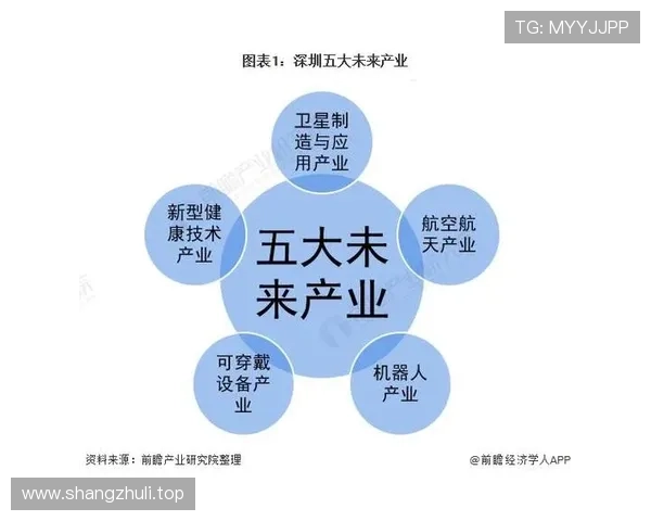 围绕复出时间解读关键节点与未来走向全景分析影响评估与策略布局